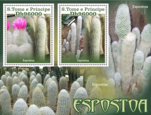 Stamps. Plants, Cactus 1+1 sheets 2023 year perforated MNH**