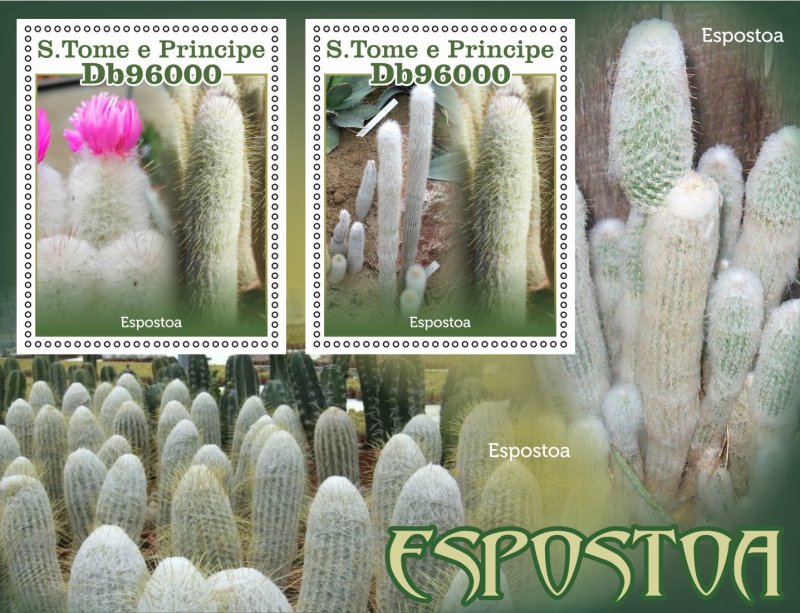 Stamps. Plants, Cactus 1+1 sheets 2023 year perforated MNH**