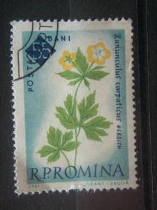 ROMANIA, 1961, used 55b, Scott 1464 , Flowers, Bucharest Botanical Garden