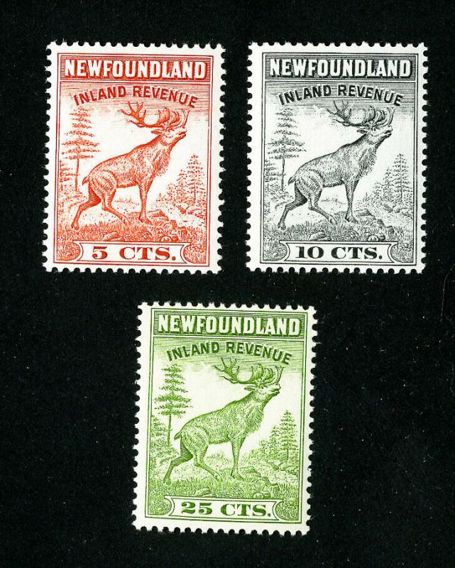 Newfoundland Stamps # NFR46-8 VF OG NH Revenue Set of 3