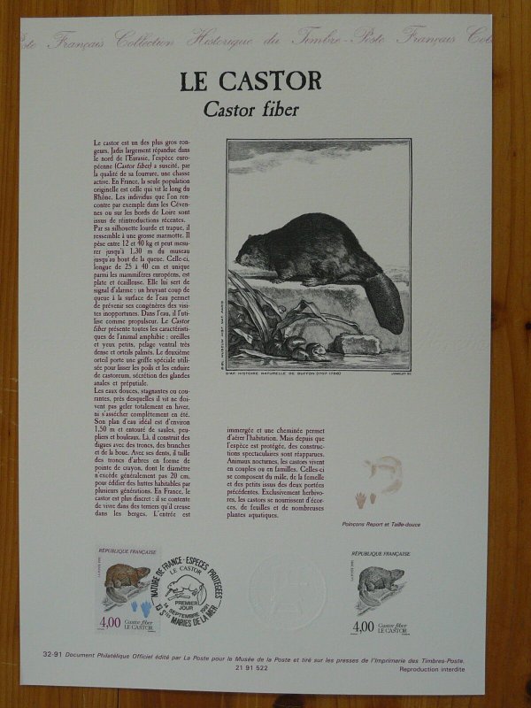 wild animal beaver FDC folder with engraving 32-1991