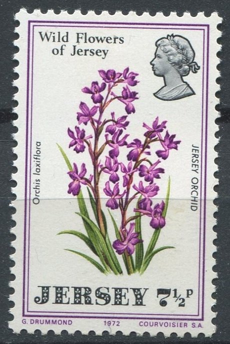 Jersey Sc#63 MNH, 7½p multi, Wild Flowers of Jersey (1972)