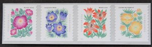 U.S.#5672-5675 Mountain Flora 58c FE Coil Strip of 4, MNH.