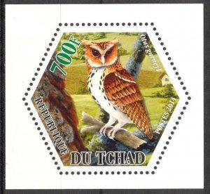 Chad 2014 Birds Owls (4) MNH Cinderella !