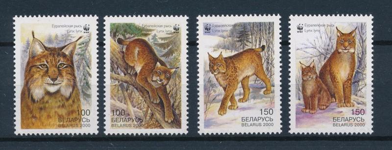 [54019] Belarus 2000 Wild animals Mammals WWF Lynx MNH