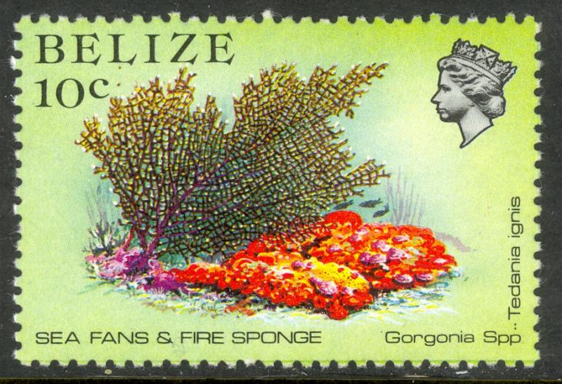 BELIZE 1984 10c SEA FANS & FIRE SPONGE Marine Life Issue Sc 705 MNH