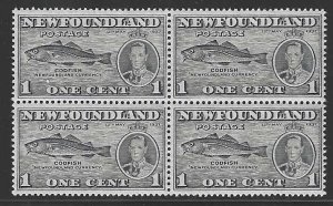 Newfoundland, S.G. #257, 1c Codfish Blk of 4, Upper Left with Fish Hook Flaw, NH