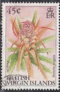 British Virgin Islands #110    USED