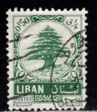 Lebanon - #405 Cedar Tree -  Used
