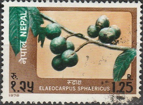 Nepal, #354 Used  From 1978