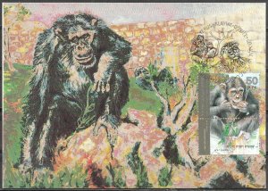 Israel 1992 Chimpanzee Monkeys The Jerusalem Zoo Maximum Card 