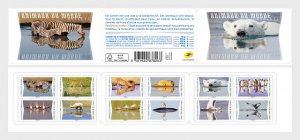 France 2020 MNH Booklet Stamps Animals and their Reflections Birds