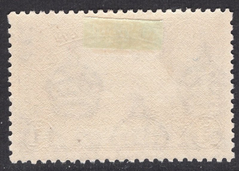 MONTSERRAT SCOTT 103