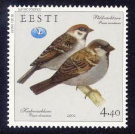 Estonia Sc# 435 MNH Bird of the Year - Sparrows