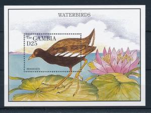 [31838] Gambia 1995 Birds Vögel Oiseaux Ucelli   MNH Sheet