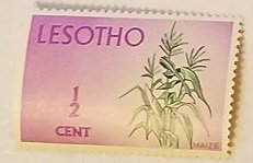 Lesotho 91