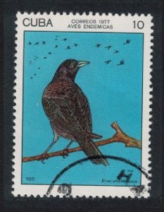 Caribic Blackbird Bird 1977 CTO SG#2355