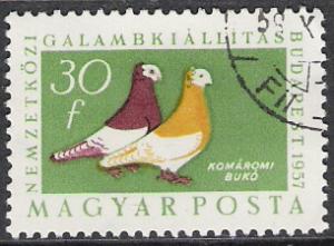 Hungary #1176 Pigeons CTO