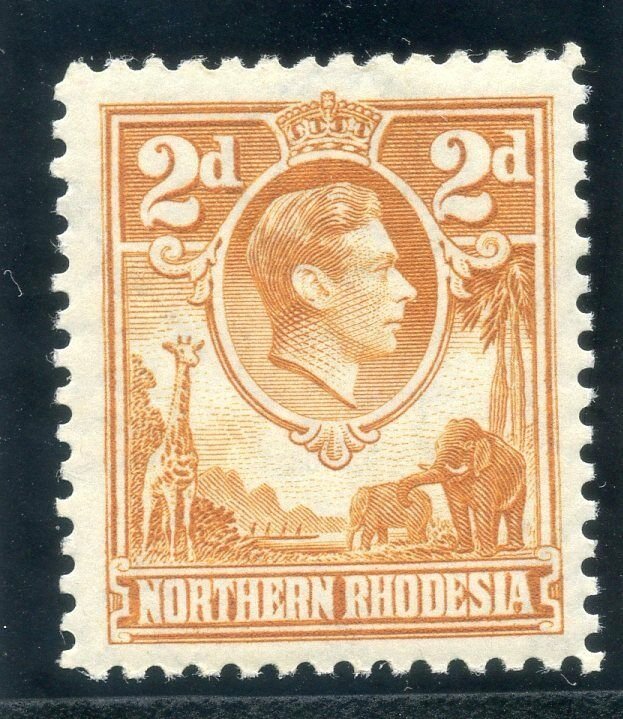 Northern Rhodesia 1938 KGVI 2d yellow-brown superb MNH. SG 31. Sc 31.