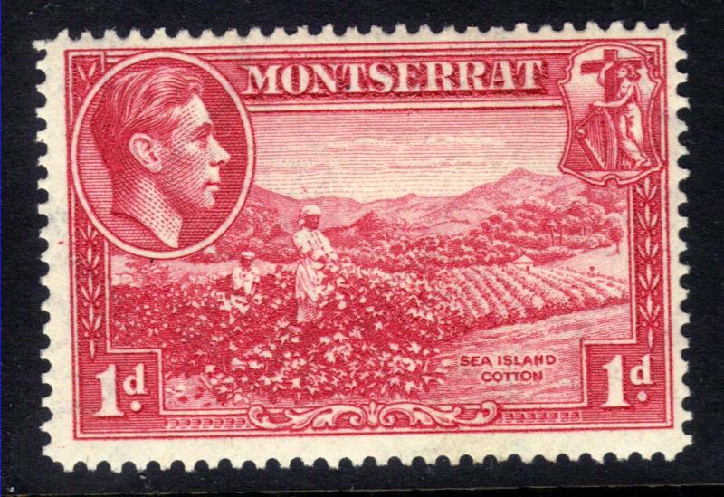 Montserrat 1938 - 48 KGV1  1d Carmine Sea Island Cotton MM SG 102 ( T90 )