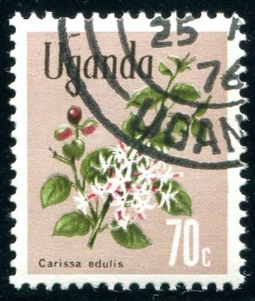 Uganda Sc#123 Flower  MNH CTO