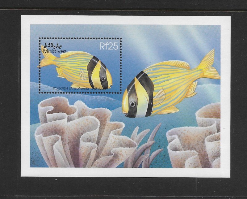 FISH - MALDIVES #2342  PORKFISH   MNH