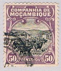 Mozambique Company 138 Used Cattle 1 1918 (BP53838)