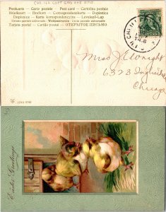 United States, U.S. R.P.O.'s, Picture Postcards