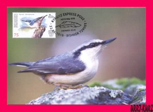 KYRGYZSTAN 2018 Nature Fauna Birds Nuthatch Mi KEP 95 Maxicard Maximum Card