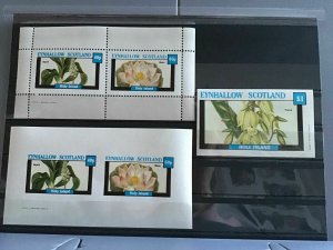 Scotland Holy Island Eynhallow Squill  Flowers plants  MNH stamps  R24138