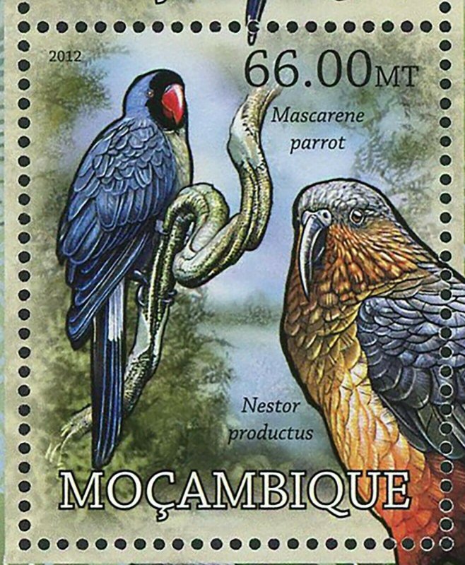 Parrots Stamp Bird Psittacula Wardi Cyanoramphus Ulietanus S/S MNH #5846-5849