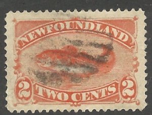 Newfoundland 48   Used