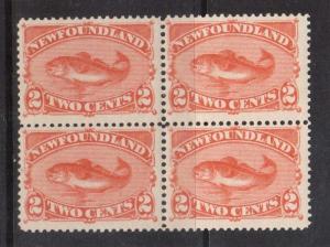 Newfoundland #48b Mint Scarce Block