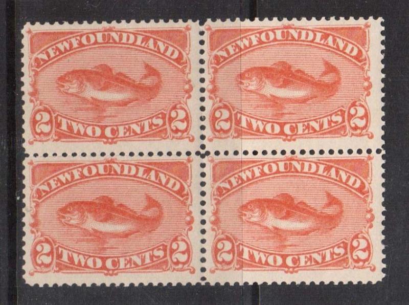 Newfoundland #48b Mint Scarce Block