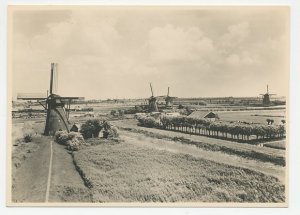 Postal stationery Netherlands 1946 Windmill - Alblasserwaard