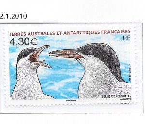 French Southern & Antarctic Territory Sc 429 NH ISSUE OF 2010 - BIRDS