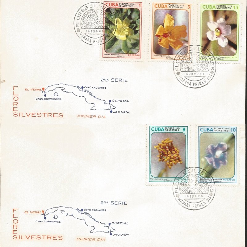 J) 1974 CARIBE, WILD FLOWERS, MAP, MULTIPE STAMPS, SET OF 2 FDC