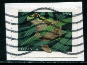 5398 US (55c) Frogs - Squirrel Tree Frog SA, used on paper