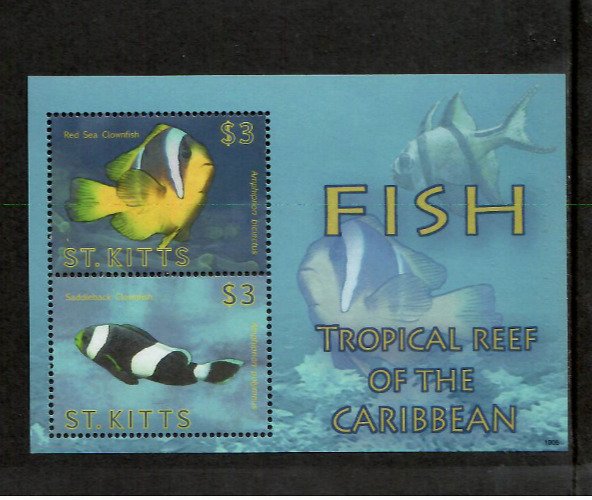 Saint Kitts 2010 - Marine Life Fish - Souvenir Stamp Sheet - Scott #757 - MNH