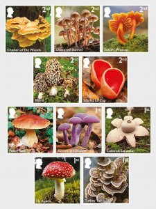 Stamps of UK 2025 MNH** - PRE-ORDER. Mushrooms - Set