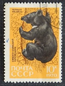 Animals, Black bear, Sikhote Alin Reserve, 1970, (1210-Т)