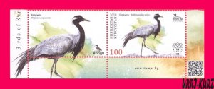 KYRGYZSTAN 2018 Nature Fauna Birds Crane (Anthropoides virgo) 1v+ Mi KEP 96 MNH
