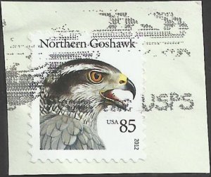# 4608 USED NORTHERN GOSHAWK