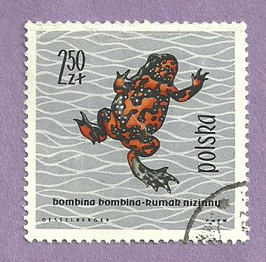 Poland Used Stamp Scott 1143