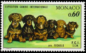 Scott #1017 Dog Show - Dachshunds MNH