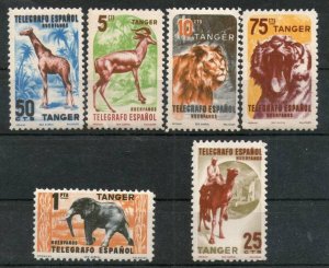 Spain Espana 6 Diff Lion Tiger Giraffe Elephant Antelope Wild Life Animal Tele