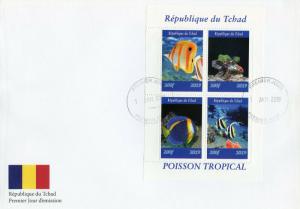 Chad 2019 FDC Tropical Fish Tang 4v M/S Cover II Poisson Fishes Marine Stamps