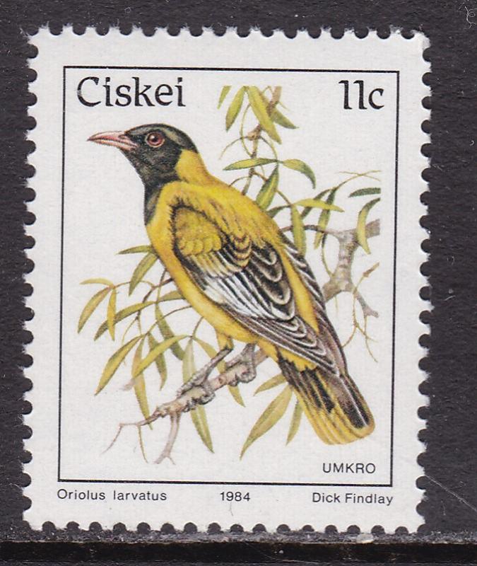 Ciskei, Fauna, Birds MNH / 1984