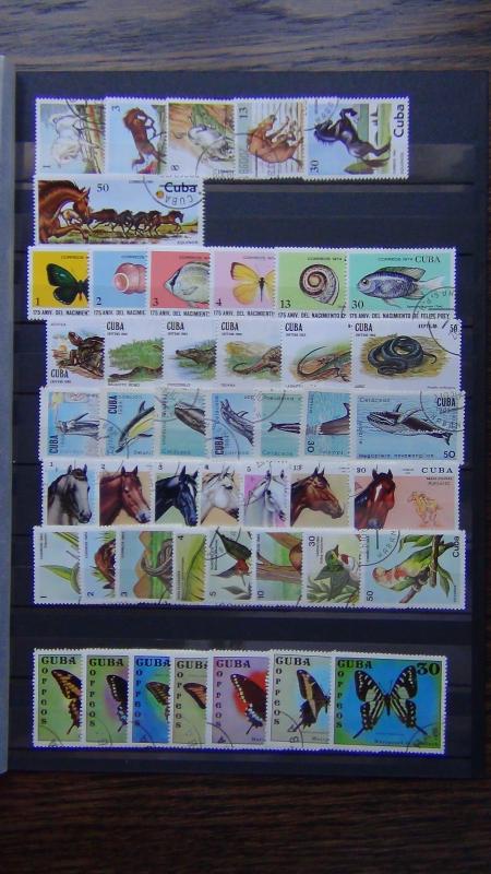1972 1984 sets Horses Popey Reptiles Whales Butterflies Wildlife VFU
