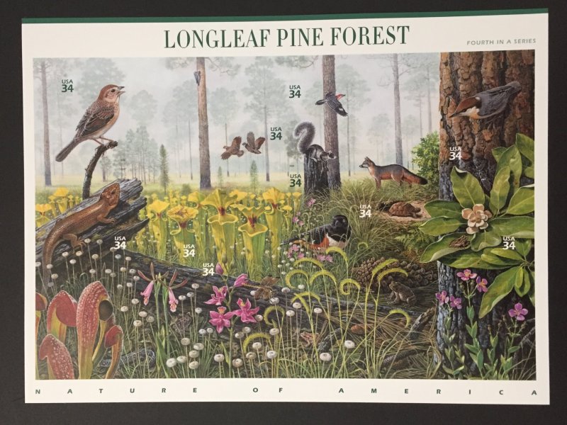 U.S. 2002 #3611 S/S, Long Leaf Pine Forest, MNH.